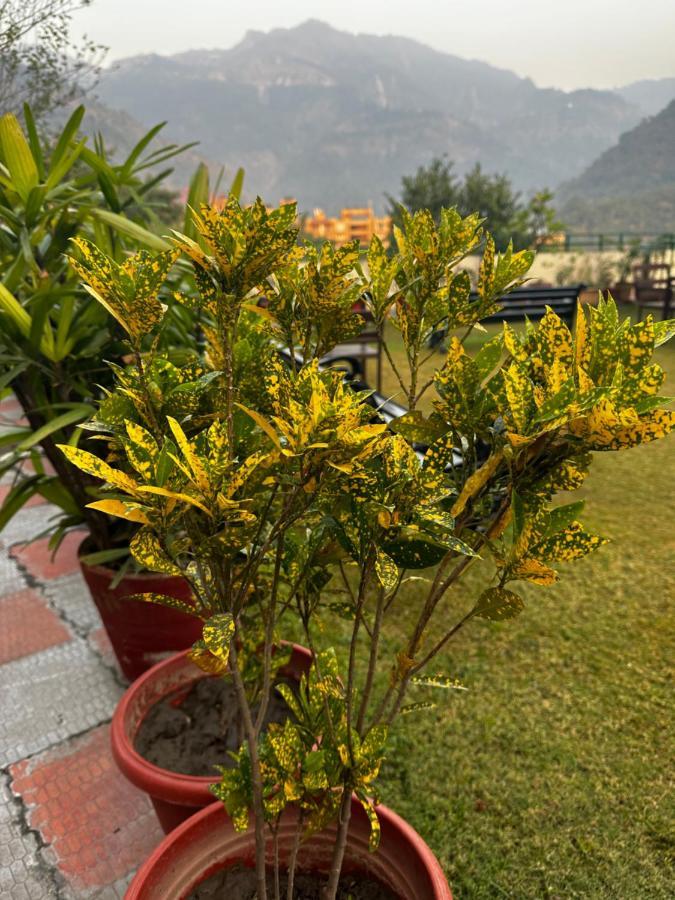 Hotel Dewa Retreat- A Himalayan Boutique Hotel Rishīkesh المظهر الخارجي الصورة
