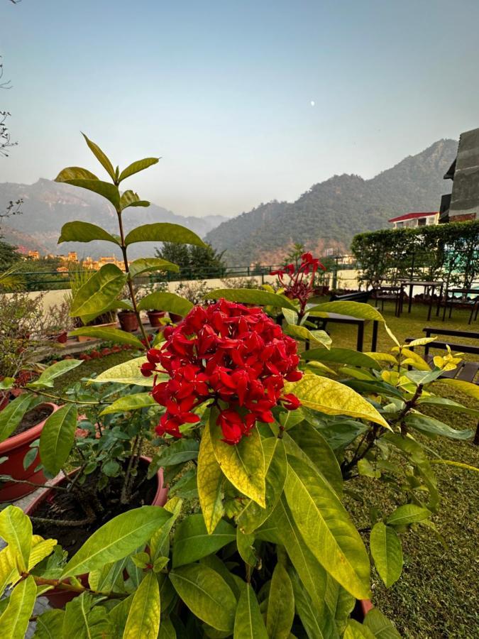 Hotel Dewa Retreat- A Himalayan Boutique Hotel Rishīkesh المظهر الخارجي الصورة